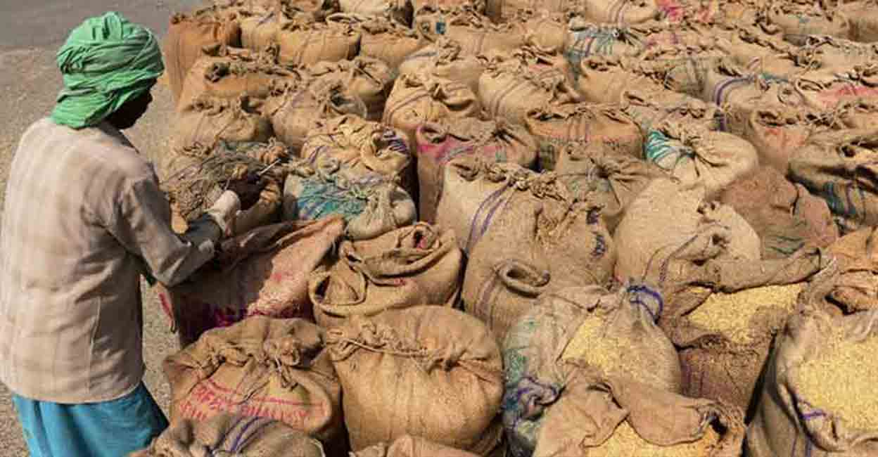 FCI, as the pillar of India’s food security architecture, plays a pivotal role in various crucial functions. Photo: AFP